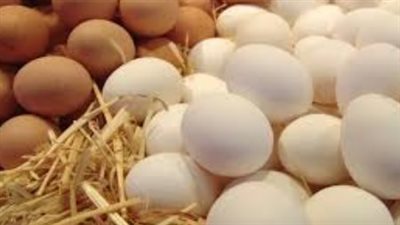 ارتفاع أسعار البيض في دول الاتحاد الأوروبي بسبب إنفلونزا الطيور