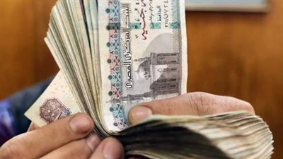 لصرف منحة العمالة الغير منتظمة 2025.. كيف أعرف بياناتي في القوى العاملة؟