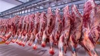 سعر كيلو اللحوم البتلو في مصر اليوم الخميس 9 يناير 2025
