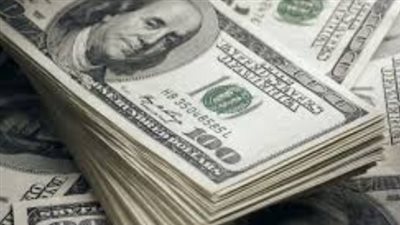 سعر الدولار مقابل الجنيه المصري اليوم السبت 11 يناير 2025