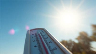 أمطار وشبورة ورياح.. الأرصاد الجوية المصرية تحذر من حالة الطقس اليوم السبت 11 يناير 2025