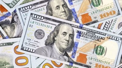 سعر الدولار في البنك الأهلي المصري اليوم 11 يناير 2025