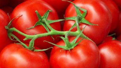 أسعار الخضروات والفاكهة اليوم 6_1_2025.. يتراوح سعر الطماطم من 3.5 إلى 5.5 جنيه