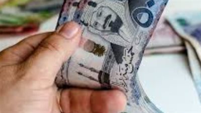 سعر الريال السعودي في البنك المركزي المصري اليوم الإثنين 6_1_2025