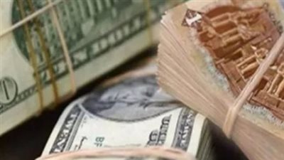 سعر الدولار في البنك المركزي المصري الآن