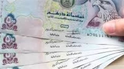 سعر الدرهم الإماراتي في البنك المركزي المصري اليوم 13 يناير 2025