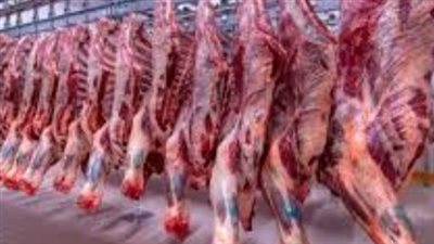 أسعار اللحوم اليوم الأحد 12 يناير 2025.. كيلو عِرق الفلتو نحو 420 جنيهًا