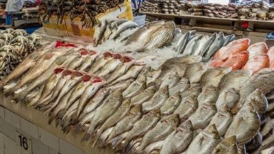 أسعار الجمبري اليوم الثلاثاء 14 يناير 2025