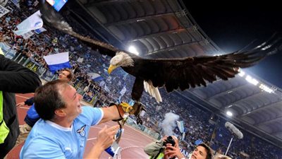 بعد 15 سنة خدمة.. لاتسيو يقيل المسؤول عن رعاية نسر النادي بسبب صورة خارجة