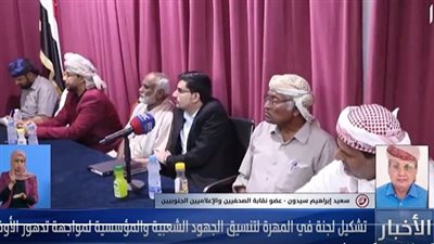 سعيد سيدون: اللجنة بالمهرة ستدعم كل الجهود الشعبية والمؤسسية في المحافظة لمواجهة تهور الأوضاع (فيديو)