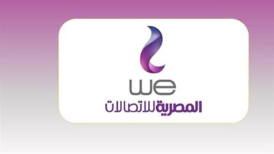كيفية الاستعلام عن فاتورة التليفون الأرضي عبر الموقع الرسمي لشركة WE