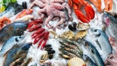  أسعار المأكولات البحرية بمختلف أنواعها اليوم 16 يناير 2025