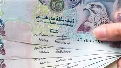 سعر الدرهم الإماراتي في البنك المركزي المصري اليوم الخميس 16 يناير 2025
