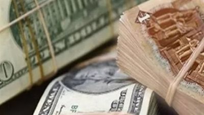 سعر الدولار مقابل الجنيه المصري اليوم 18 يناير 2025