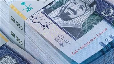 سعر الريال السعودي في البنك المركزي المصري اليوم 20 يناير 2025