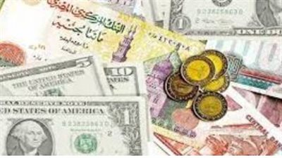  أسعار العملات الأجنبية أمام الجنيه المصري اليوم الإثنين 20-1-2025 في البنك الأهلي المصري