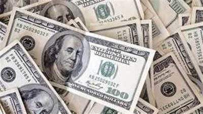 سعر الدولار في البنك المركزي المصري اليوم الأحد 19 يناير 2025