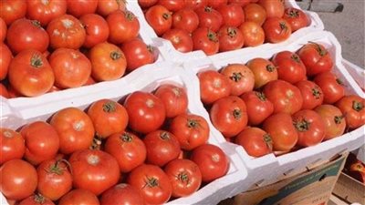  أسعار الخضروات والفاكهة اليوم 20_1_2025.. سعر الطماطم تتراوح من 3.5 إلى 6 جنيهات