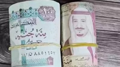  سعر الريال السعودي اليوم الإثنين 20 يناير 2025 في البنوك بمصر