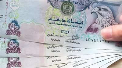 سعر الدرهم الإماراتي في البنك المركزي المصري اليوم 21_1_2025