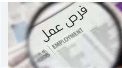 50 فرصة عمل جديدة في الإمارات.. التفاصيل الكاملة 