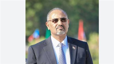 خلال المنتدى الاقتصادي العالمي.. ما هي رؤية الزبيدي لتحقيق الحلول المستدامة والتخفيف من المأساة الإنسانية؟