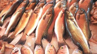 داخل سوق العبور لتجارة الجملة.. أسعار الأسماك والجمبري اليوم الأربعاء 22 يناير 2025