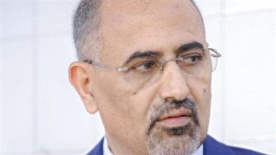  الزُبيدي لـ سكاي نيوز عربية: نمر بمرحلة اقتصادية حرجة وهذا يحتاج دعمًا إقليميًا ودوليًا