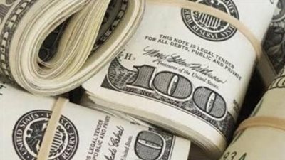 سعر الدولار مقابل الجنيه في البنك المركزي اليوم 26 يناير 2025