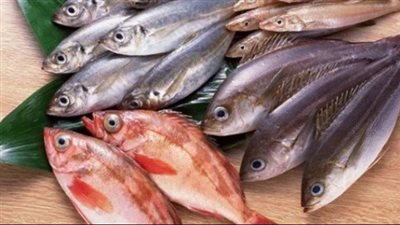  أسعار المأكولات البحرية بمختلف أنواعها اليوم 25 يناير 2025