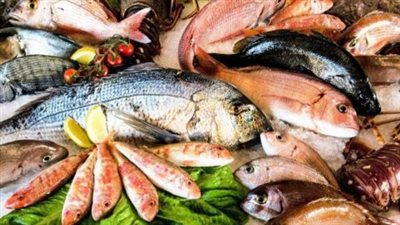 أسعار الأسماك والجمبري في مستهل تعاملات اليوم الاثنين 27 يناير 2025