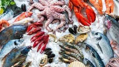  أسعار الأسماك والجمبري في مستهل تعاملات اليوم الثلاثاء 28 يناير 2025