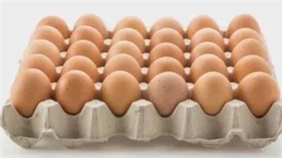 سعر كرتونة البيض البلدي 28 يناير 2025