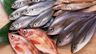  أسعار السمك خلال تعاملات اليوم الأربعاء 29 يناير 2025 في سوق الجملة وسوق العبور