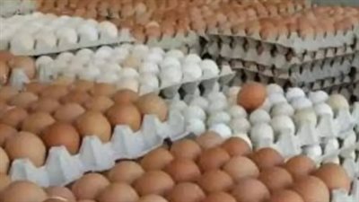 سعر كرتونة البيض الأبيض والاحمر اليوم 29 يناير 2025