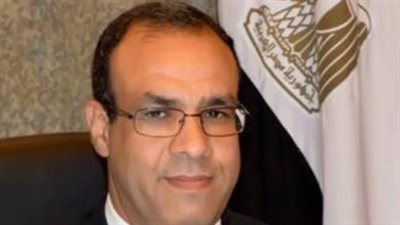 بدر عبدالعاطي: اتصالات مصرية لتثبيت وقف إطلاق النار فى غزة