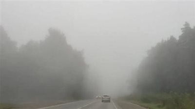 الطقس اليوم السبت 1 فبراير 2025 في مصر.. شبورة كثيفة صباحا وتحذير لهذه المحافظات