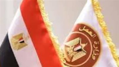 وظائف المصريين فى السعودية 2025.. التخصصات المطلوبة وخطوات التقديم 