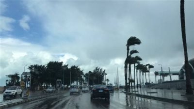 الطقس اليوم الإثنين 3 فبراير 2025 في مصر.. شبورة كثيفة صباحا وتحذير من الطقس ليلا