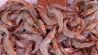 أسعار الجمبري اليوم الاثنين 3 فبراير 2025