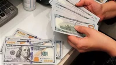 سعر الدولار اليوم الثلاثاء 4-2-2025 استقرارا امام الجنيه المصري 