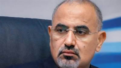 الزبيدي: سقط في سبيل مكافحة الإرهاب بالجنوب 6794 ما بين شهيد وجريح معظمهم من المدنيين