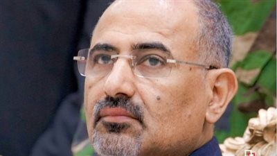 بمؤتمر الاتحاد من أجل التسامح بجنيف.. الزُبيدي يدعو المجتمع الدولي إلى تبني نهج شامل في التعامل مع الأوضاع في اليمن