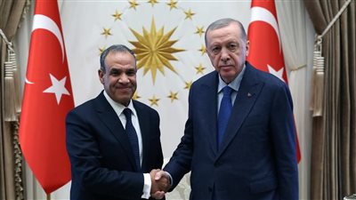وزير الخارجية ينقل رسالة خطية من الرئيس السيسي إلى نظيره التركي