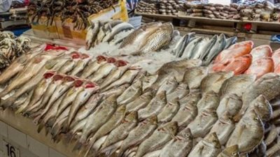 أسعار السمك والجمبري في التعاملات الصباحية اليوم الأربعاء 5 فبراير 2025