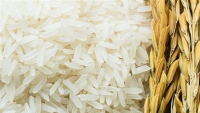 سعر طن الأرز الشعير اليوم الأربعاء 5 فبراير 2025