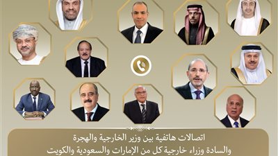 اتصالات مكثفة لوزير الخارجية مع نظرائه العرب لمواجهة مخطط تهجير أهالي غزة 