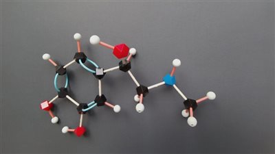 ماذا يفعل الأدرينالين بالجسم؟.. 6 علامات تدل على ارتفاع مستوياته
