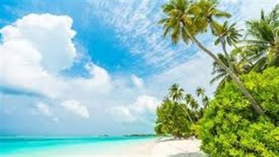 تأثير أصوات الطبيعة على الجسم.. 5 تأثيرات إيجابية على الصحة والنفسية