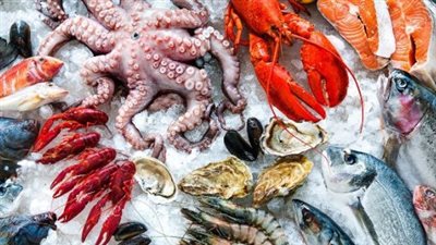  أسعار السمك والجمبري في بداية تعاملات اليوم الإثنين 10 فبراير 2025